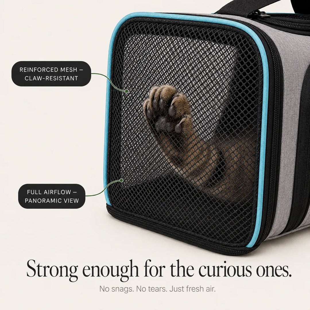 Nestly – Expandable Cat Carrier with Mesh-like Lounge Sides for Travel