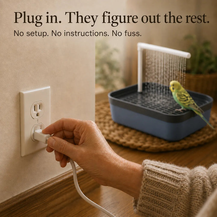 Pluvia – Electric Bird Bath with Rain Shower and Soaking Bowl