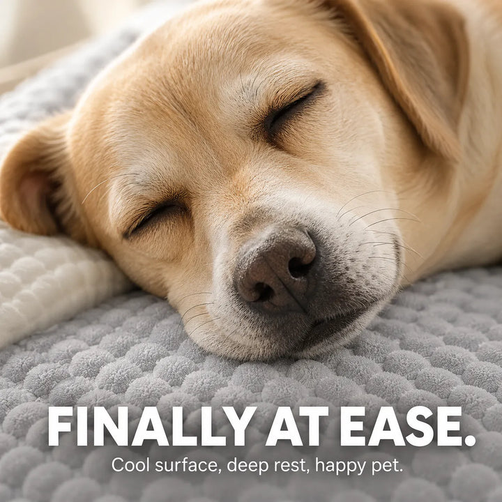 Pawloom – Cooling Pet Bed with 3D Breathable Surface, No Electricity Needed