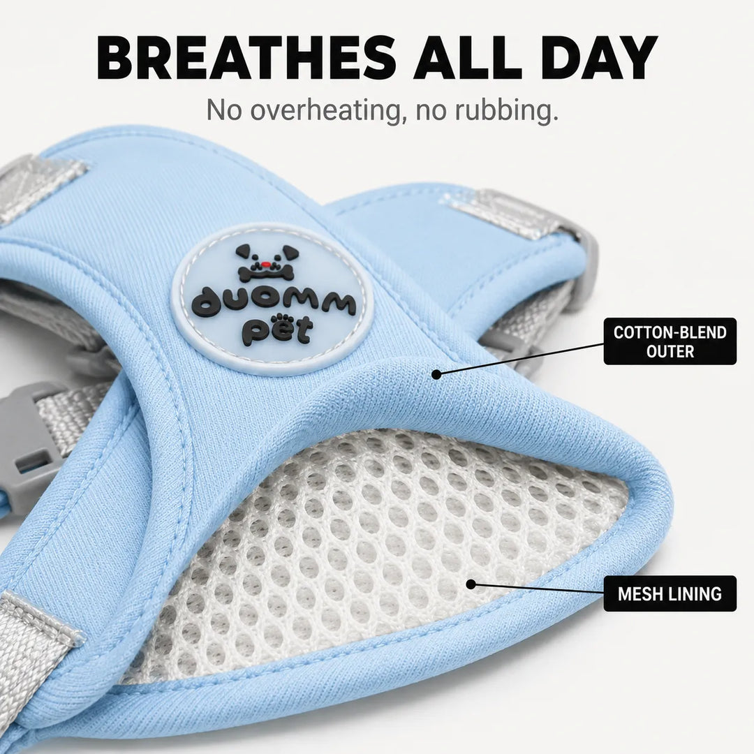 Pawlyn – X Frame No Pull Dog Harness and Leash Set for Small Breeds