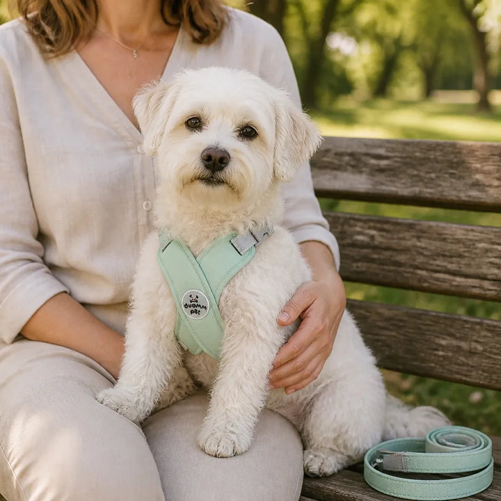 Pawlyn – X Frame No Pull Dog Harness and Leash Set for Small Breeds