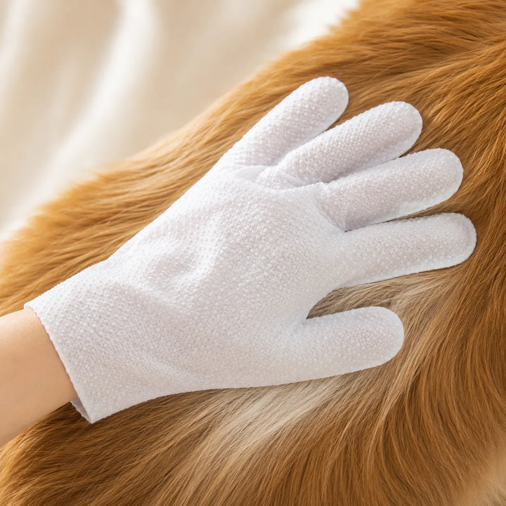 Pawmi – No-Rinse Pet Glove Wipes for Cats & Dogs, 6-Pack