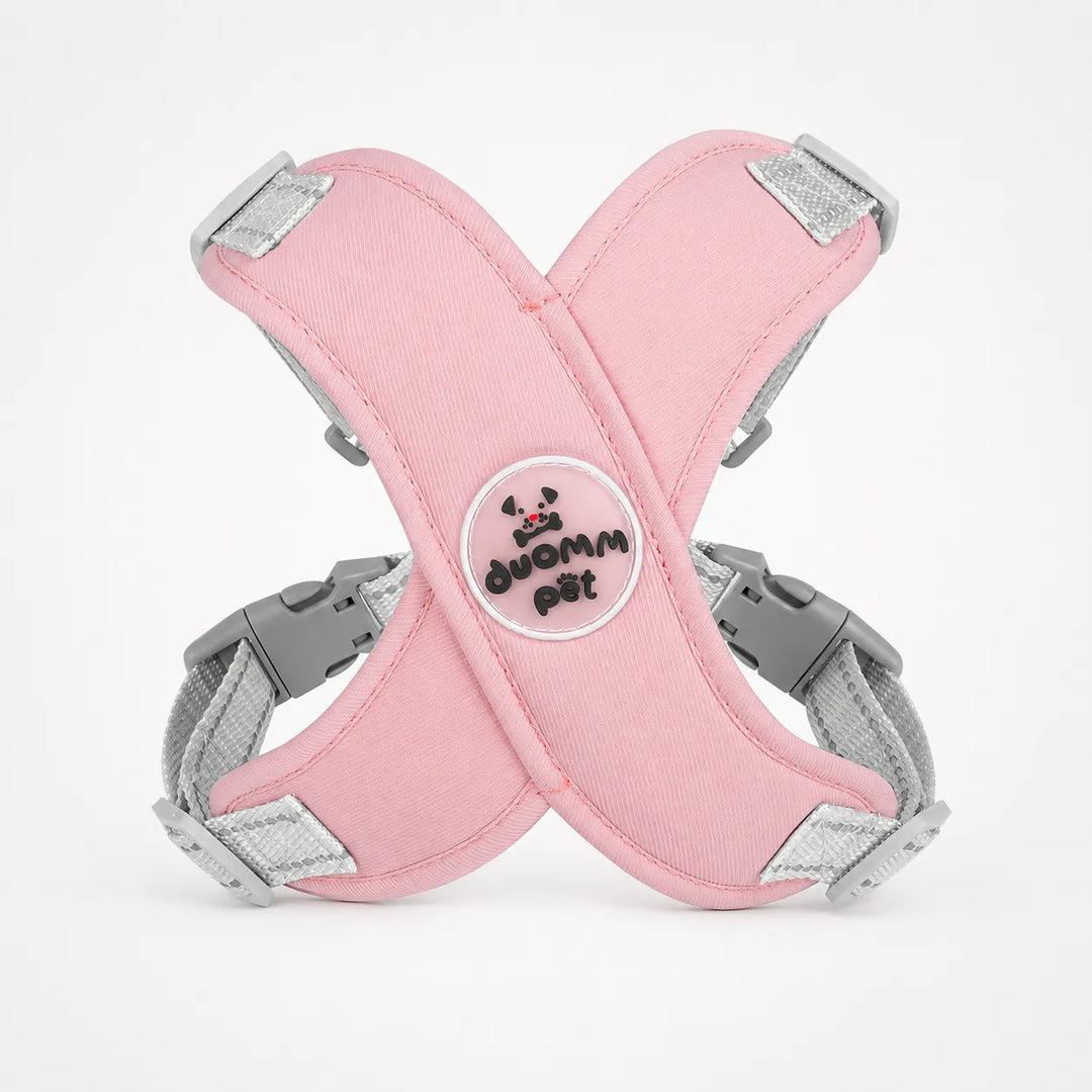 Pawlyn – X Frame No Pull Dog Harness and Leash Set for Small Breeds