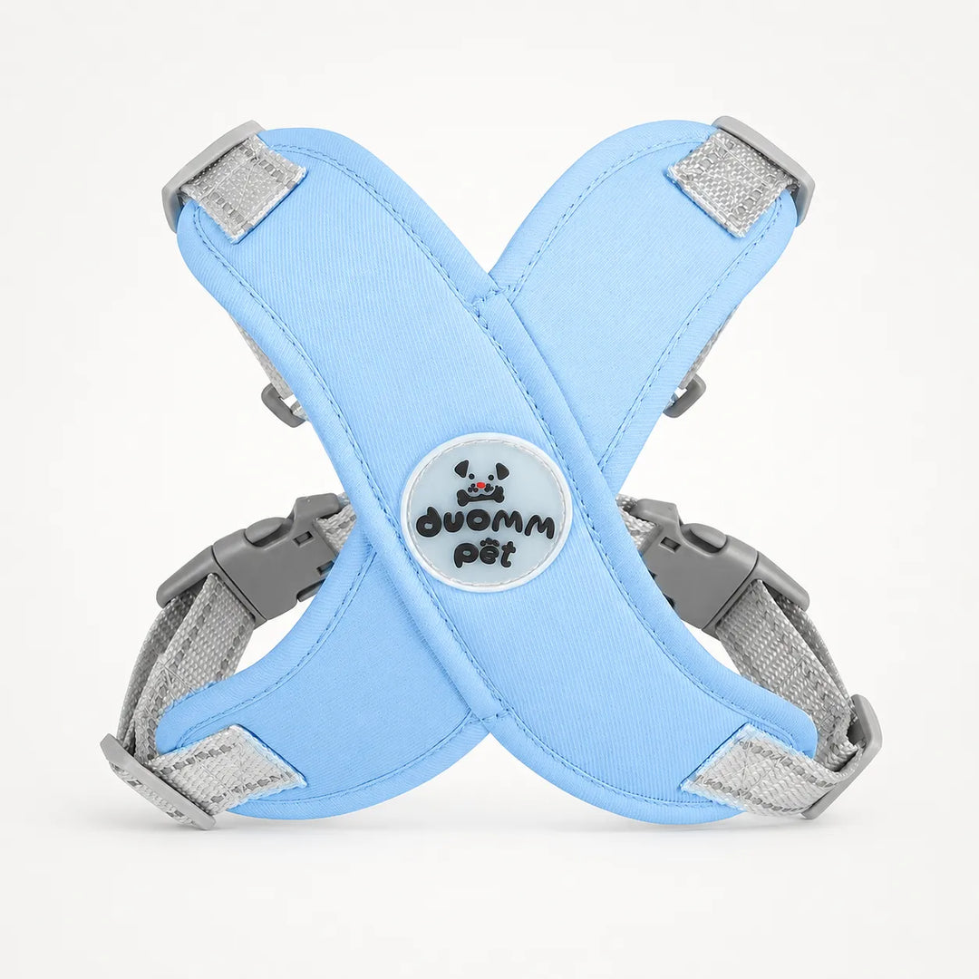 Pawlyn – X Frame No Pull Dog Harness and Leash Set for Small Breeds