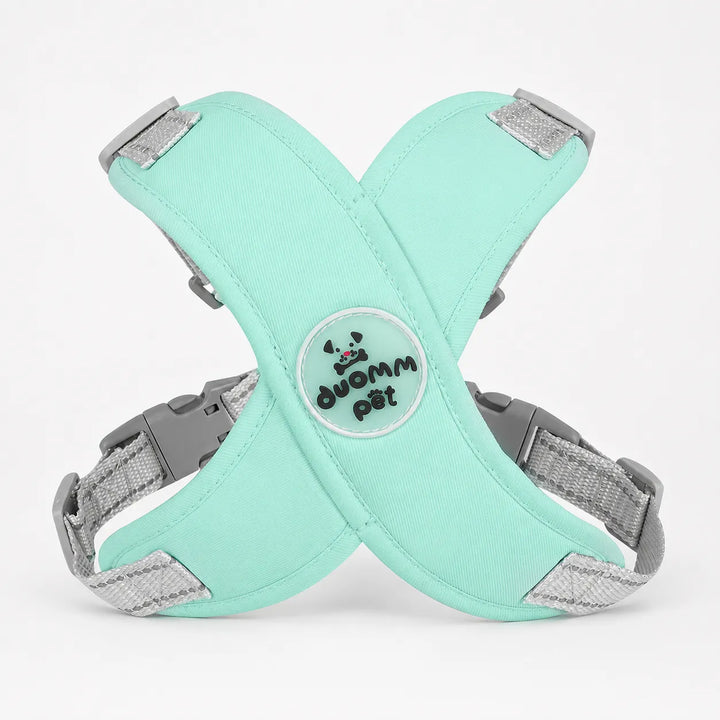 Pawlyn – X Frame No Pull Dog Harness and Leash Set for Small Breeds